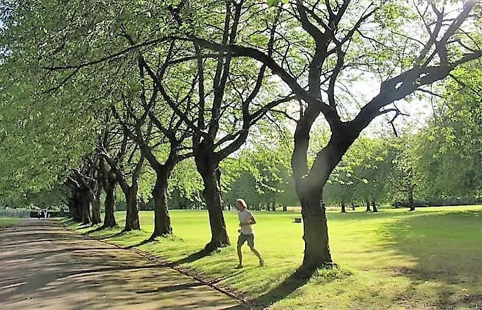 -f9gh- For Your Relaxed, Cosy Stay, Parking Apartment Leeds (West Yorkshire)